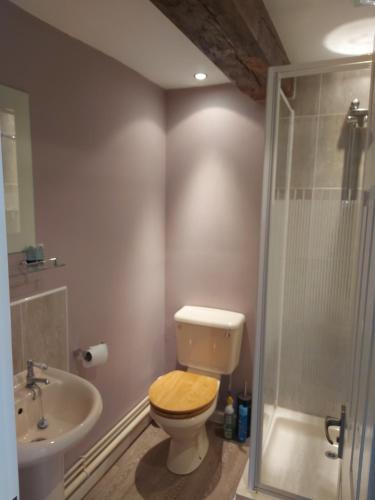 ein Bad mit einem WC, einem Waschbecken und einer Dusche in der Unterkunft Daisy Cottage in Child Okeford