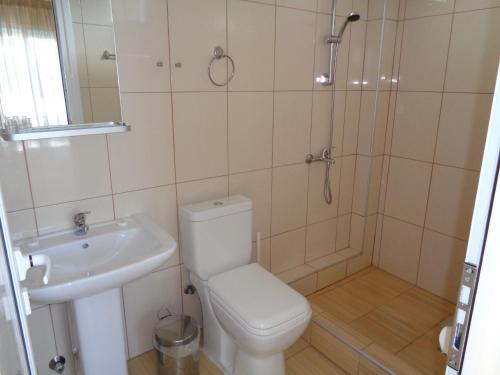 a bathroom with a shower and a toilet and a sink at Vergina Pension in Sarti