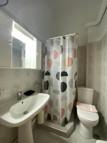 a bathroom with a sink and a toilet and a shower curtain at Venice Studios & Apartments in Stavros