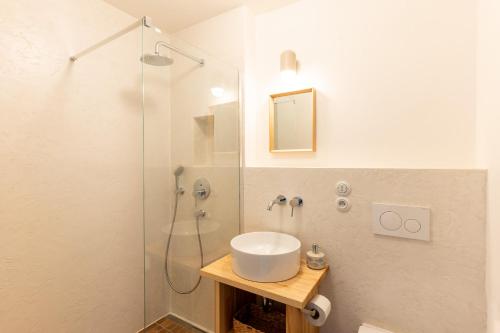 La salle de bains est pourvue d'un lavabo et d'une douche. dans l'établissement Hotel Lechowitz, à Lechovice