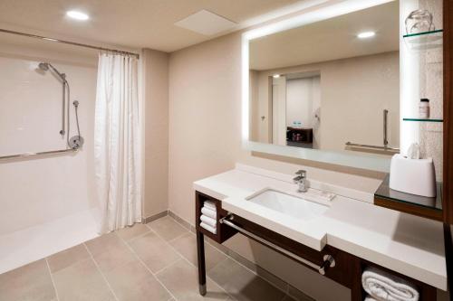 Delta Hotels by Marriott Minneapolis Northeast في مينيابوليس: حمام مع حوض ومرآة