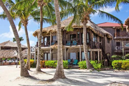 a house on the beach with palm trees at Villas De Isla Bonita in San Pedro