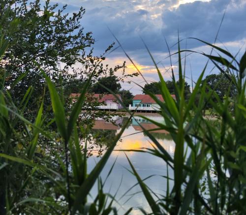 a view of a bridge over a body of water at Domaine de la roselière • Nature • Brenne in Rosnay
