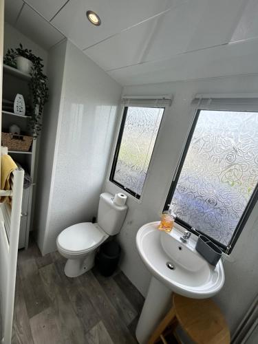a bathroom with a toilet and a sink and a window at Wigbay Loch View 28 in Kirkcolm