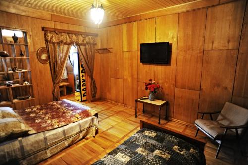 TV a/nebo společenská místnost v ubytování Guest House Gege