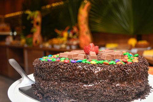a chocolate cake with a raspberry on top of it at Hotel Titanic Penedo in Penedo