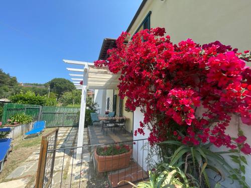 Casa Cirilla – Photos 4