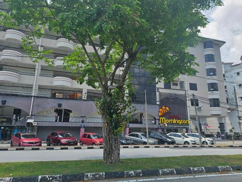 a tree in front of a building with parked cars at Fukuda Minshuku Japanese style in Lumut