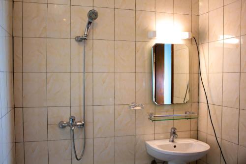 bagno con doccia, lavandino e specchio di ORADYS RESIDENCE 