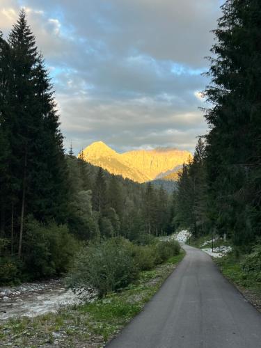 a road in the middle of a forest with mountains at Palazzo Cervesato Appartamento: Maria Luisa in Santo Stefano di Cadore