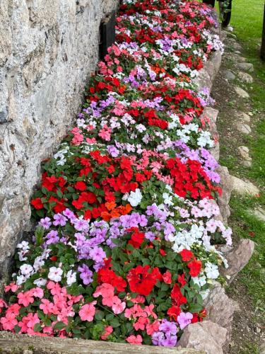 a row of colorful flowers in a garden at Palazzo Cervesato Appartamento: Maria Luisa in Santo Stefano di Cadore