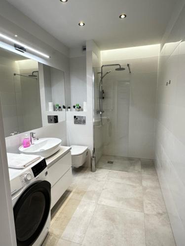W łazience znajduje się umywalka, toaleta i prysznic. w obiekcie Flat4You IV w Poznaniu