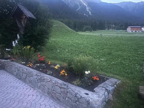 a garden with flowers in a field with a mountain at Garni Schanz in Resia