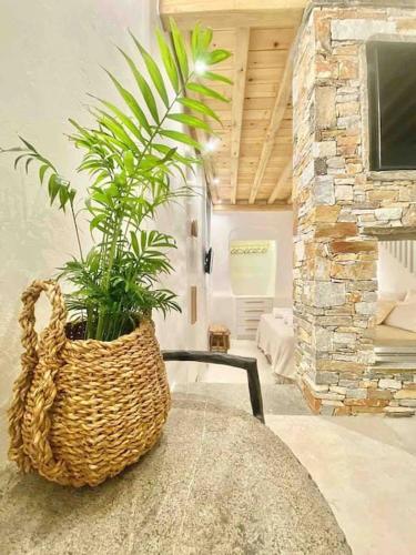 a basket with a plant sitting on a table at Dee House Sifnos in Sifnos