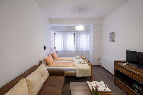 TV a/nebo společenská místnost v ubytování Guesthouse Rose