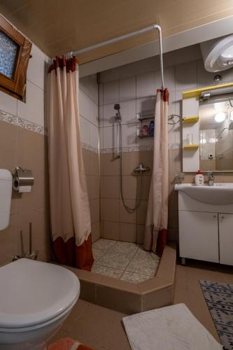 a bathroom with a shower and a toilet and a sink at Guesthouse Rose in Sarajevo