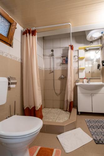 a bathroom with a shower and a toilet and a sink at Guesthouse Rose in Sarajevo