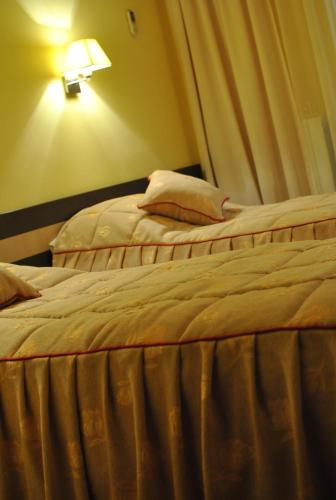 Gallery image of Hotel Dana in Amara