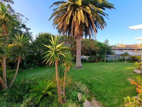 a garden with two palm trees in a yard at Eagles Rest Guest House in Summerstrand