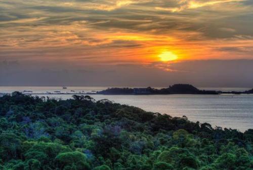 a sunset over the ocean with a bunch of trees at 14F Luxury Resort Lifestyle Ocean Views in Playa Bonita Village