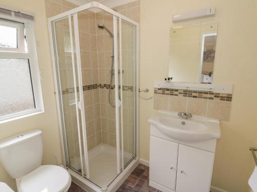 een badkamer met een douche, een toilet en een wastafel bij Daffodil in Leominster