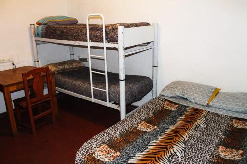 Divstāvu gulta vai divstāvu gultas numurā naktsmītnē Hostel Int Mendoza
