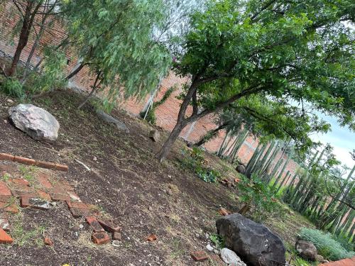 a garden with a tree and rocks and a fence at Bebelines inn dos in San Miguel de Allende