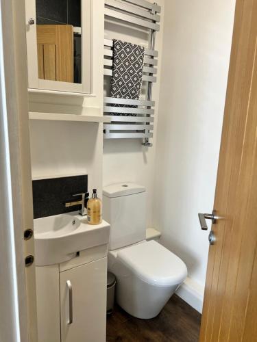 a small bathroom with a toilet and a sink at Ground floor flat in Keynsham