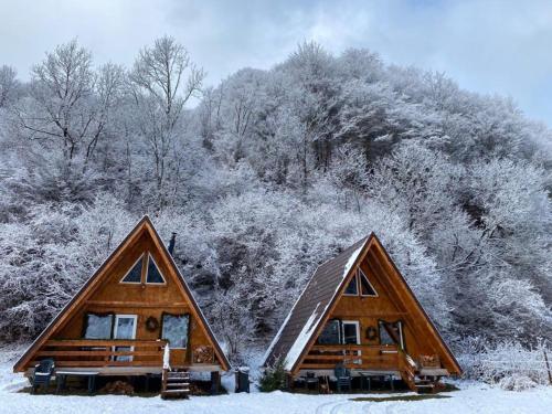 two log homes in the snow with trees at Cabanutze Satic in Rucăr