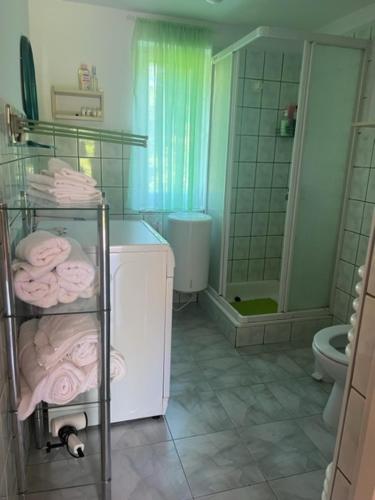 a bathroom with a toilet and a towel rack with towels at UKRYTY SKARB 