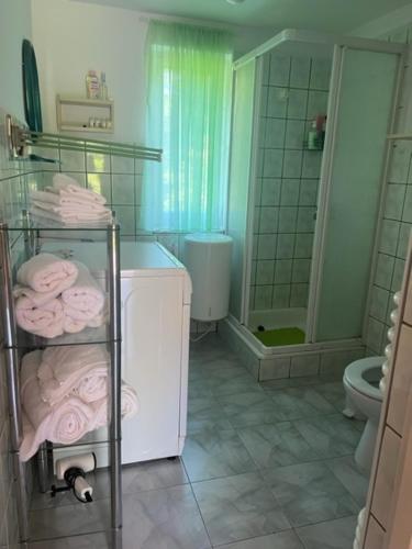 a bathroom with a toilet and a towel rack with towels at UKRYTY SKARB in Głobikówka