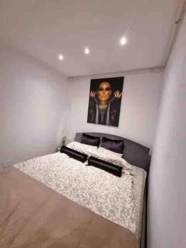 Chic Studio Pallady