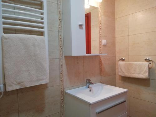 un baño con lavabo y espejo en Apartment Anatolia of Becici, en Bečići