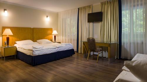 ロンデク・ズドルイにあるHotel Trojanの大きなベッドとデスクが備わるホテルルームです。