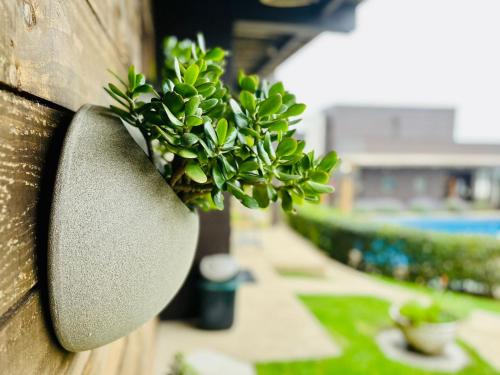 Bazén v ubytování Blumen Hotel nebo v jeho okolí