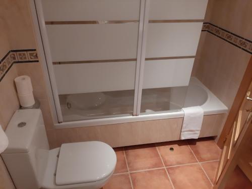 a small bathroom with a toilet and a shower at Flor de Muntanya in Canillo