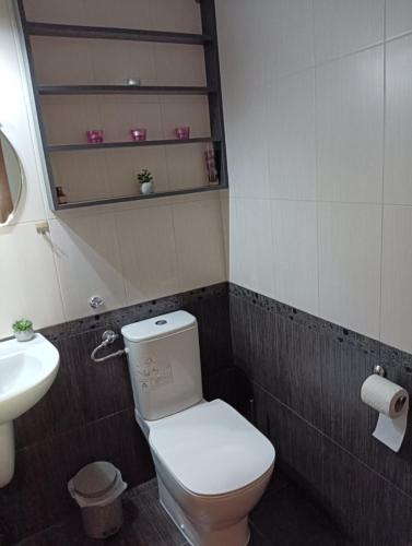 a bathroom with a toilet and a sink at Дунав билдингс 3 in Pleven