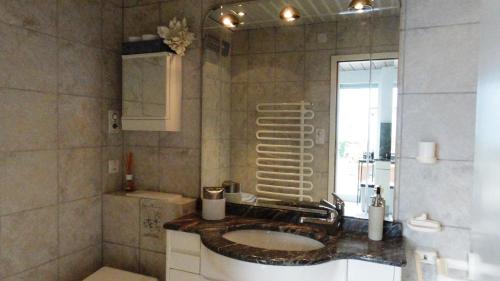 uma casa de banho com um lavatório e um espelho em Casa Colomba em Locarno
