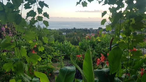 a garden with the ocean in the background at Vila Pogled in Petrovac na Moru