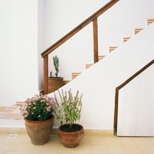 Fotografie z fotogalerie ubytování Dar Lazuli Bed & Breakfast v destinaci Essaouira