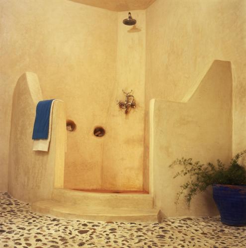a bathroom with a shower with a spider on the wall at Dar Lazuli Bed & Breakfast in Essaouira