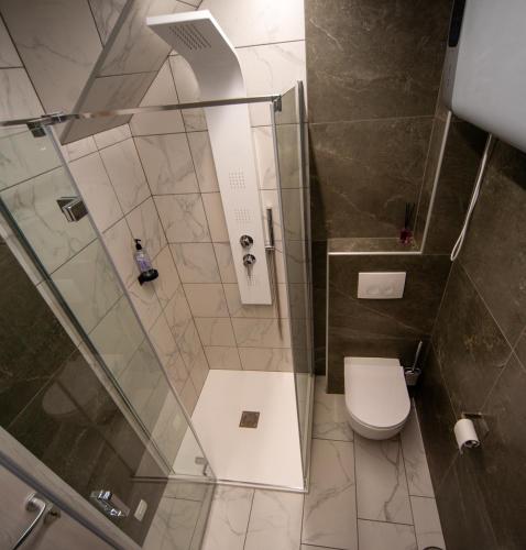 a bathroom with a shower with a toilet at Sport apartments in Radovljica