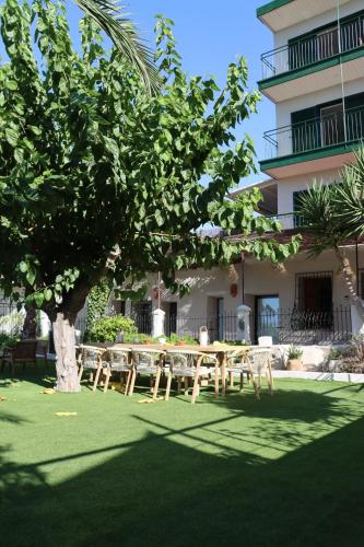 Zahrada ubytování Paradisun Villajoyosa - Adults Only Recommended