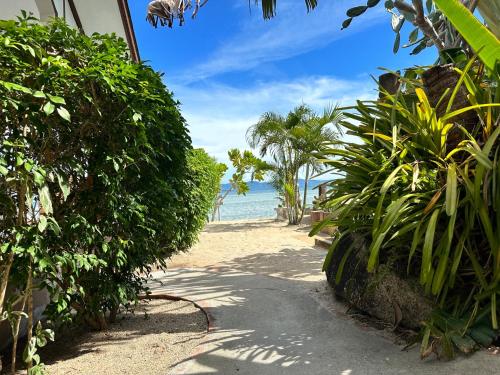 a path to the beach with palm trees and the ocean at Phangan Lodge in Ban Tai