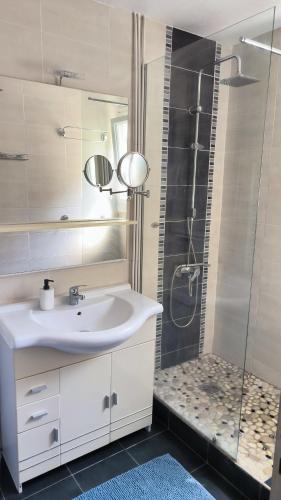 une salle de bain blanche avec un lavabo et une douche dans l'établissement Agréable maison à 5' de Blois, à Saint-Gervais-la-Forêt