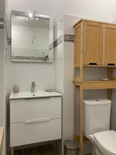 ein Badezimmer mit einem Waschbecken, einem WC und einem Spiegel in der Unterkunft STUDIO COURS GENERAL LECLERC in Ajaccio