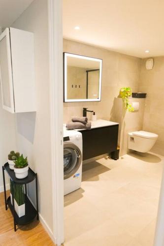 une salle de bain avec une machine à laver et un lavabo dans l'établissement Hypercentre rue piétonne au calme, à Toulouse