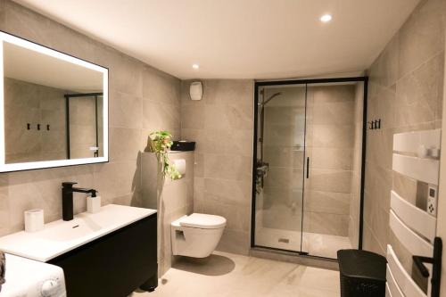 a bathroom with a toilet and a sink and a shower at Hypercentre rue piétonne au calme in Toulouse