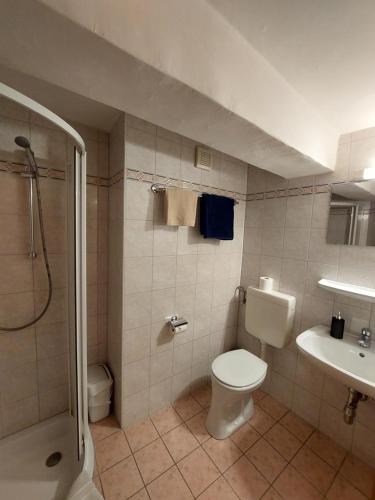 a bathroom with a toilet and a sink and a shower at 3 Raben - Leoben - Zimmer für Geschäftsreisende, Urlauber, Monteure und Handwerker, Polski Pensjonat Austria in Leoben