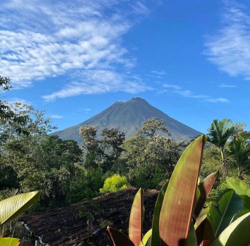 Foto de la galería de Hotel Kokoro Mineral Hot Springs en Fortuna
